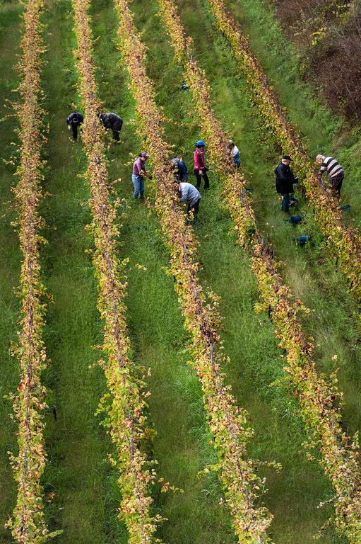 Wine Resort Villagrande Milo Εξωτερικό φωτογραφία